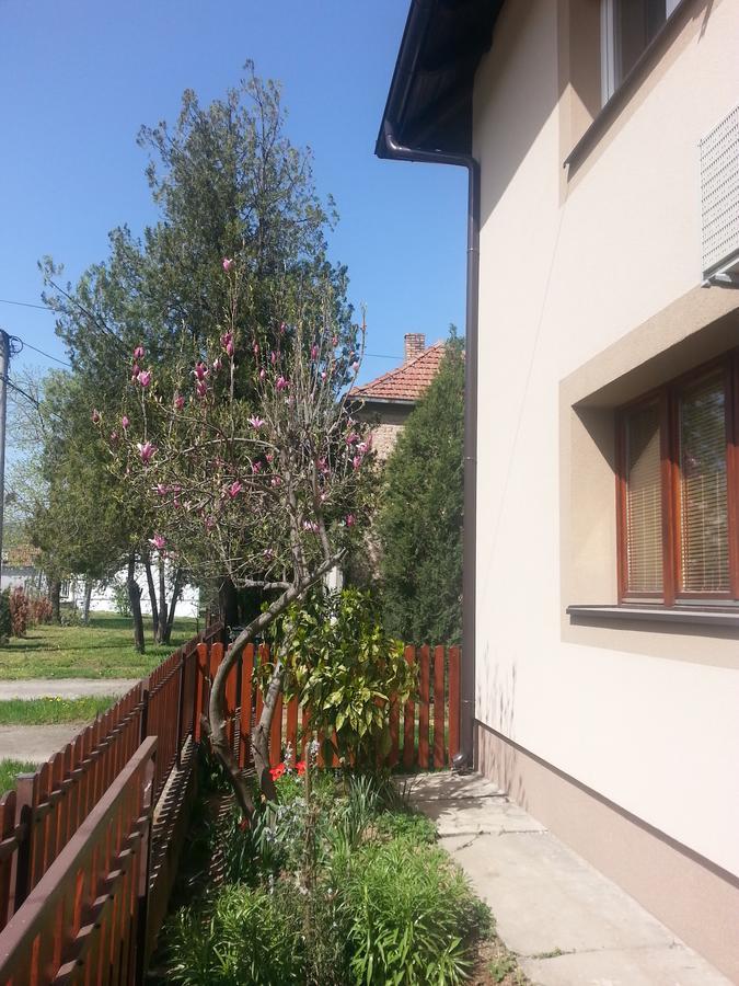 Sweet Dreams Apartment Arandjelovac Exteriör bild